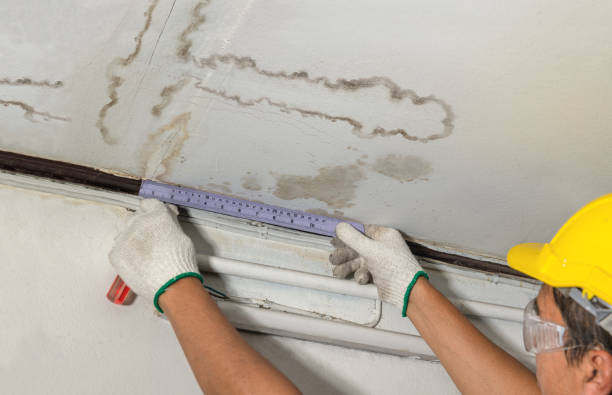 Reliable Mold Remediation contractor in Zirconia, NC by Water Damage Irwin